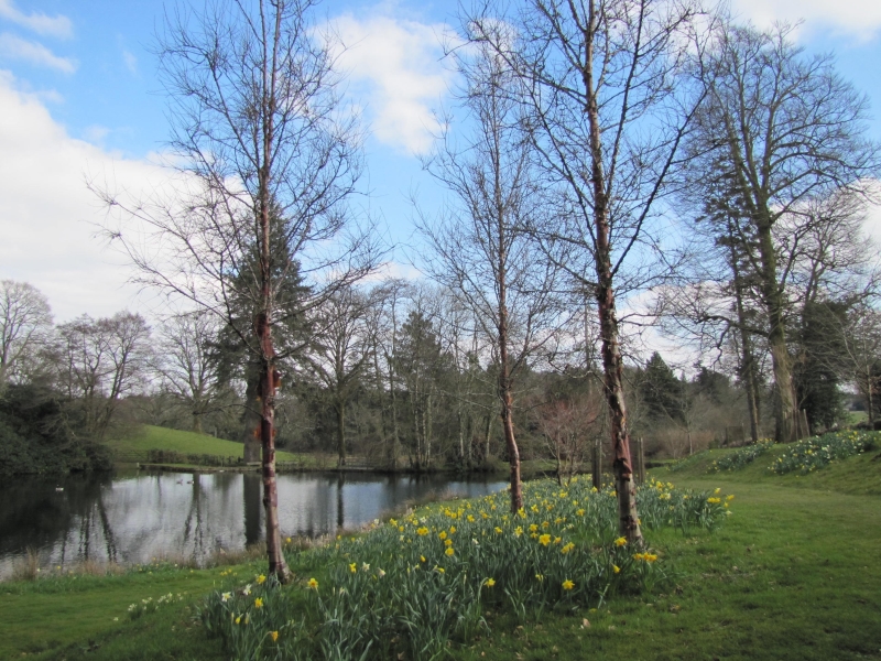 Trebartha Estate Garden and Country Garden at Lemarne